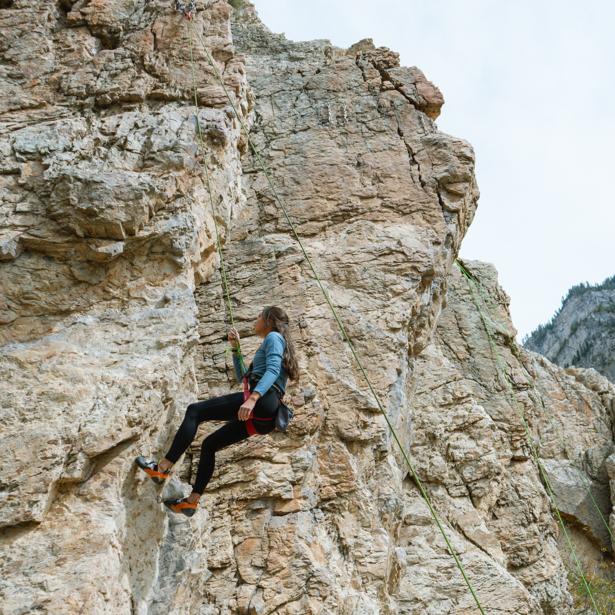 Women's Sawtooth Sky Grid Fleece Crewneck Lifestyle
